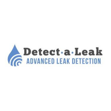 Detect-a-Leak MS