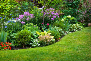 How To Landscape A Sloped Side Yard